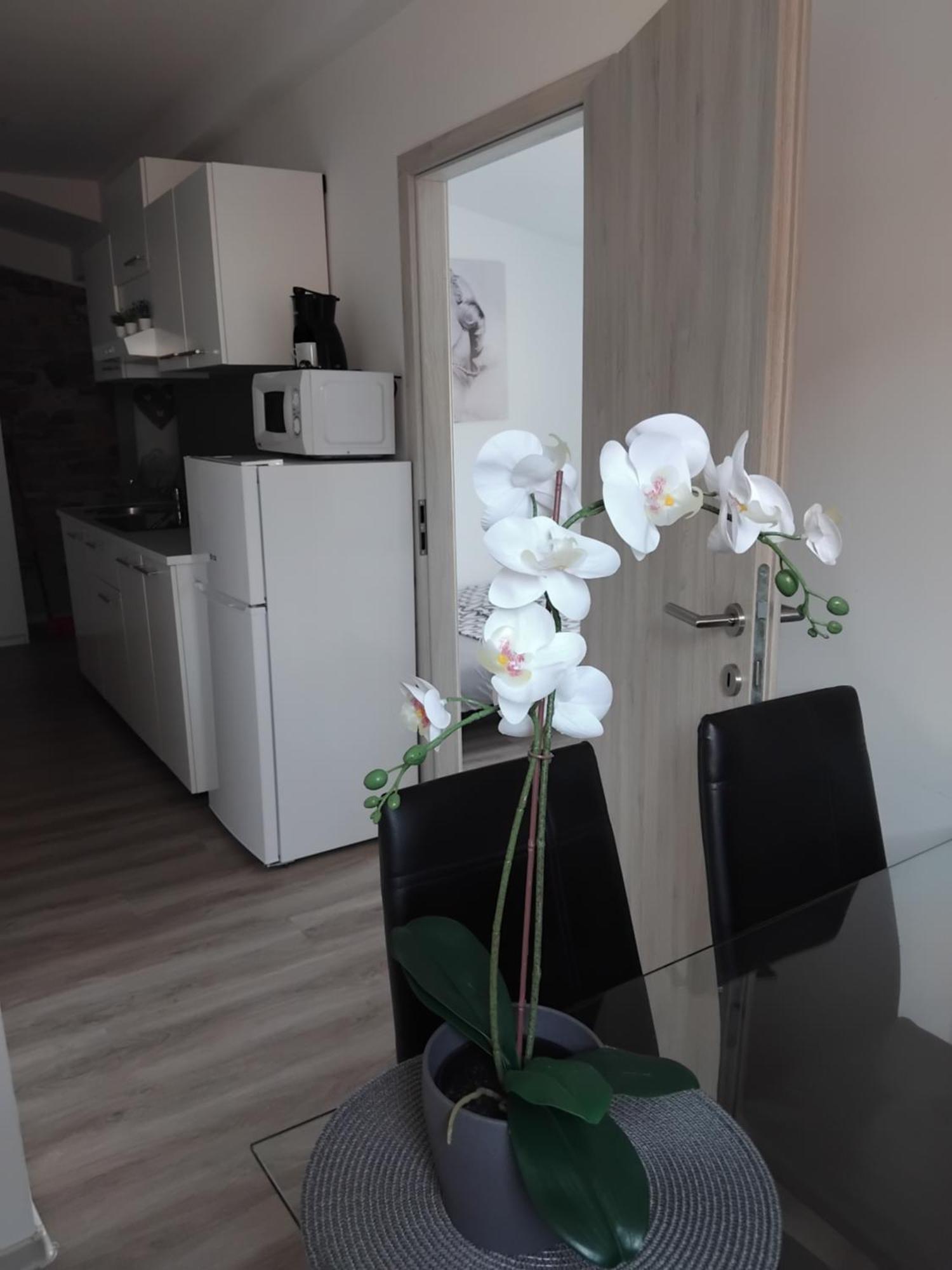 Apartmaja Eva&Pia Koper Exteriör bild